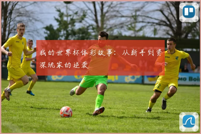我的世界杯体彩故事：从新手到资深玩家的逆袭