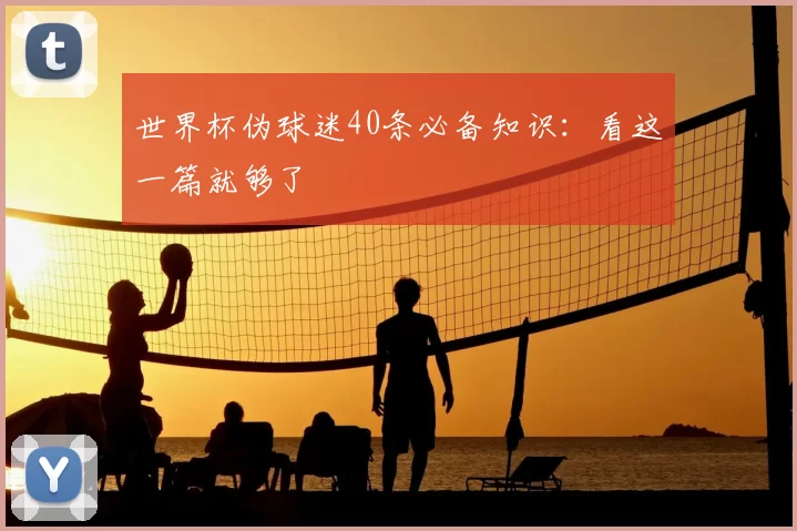 世界杯伪球迷40条必备知识:看这一篇就够了