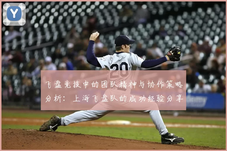 飞盘竞技中的团队精神与协作策略分析:上海飞盘队的成功经验分享