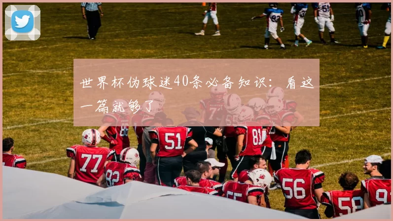 世界杯伪球迷40条必备知识：看这一篇就够了