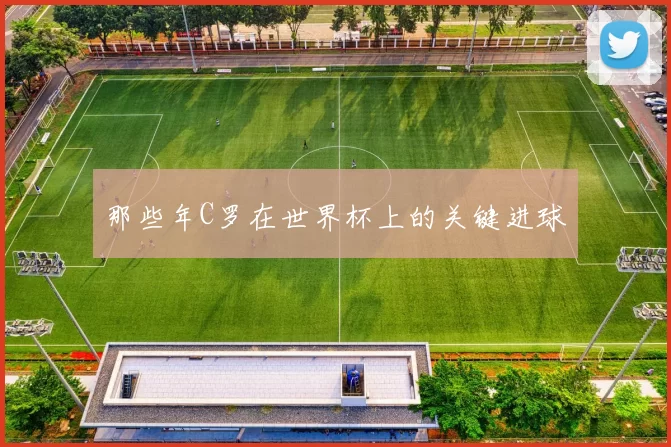 那些年C罗在世界杯上的关键进球
