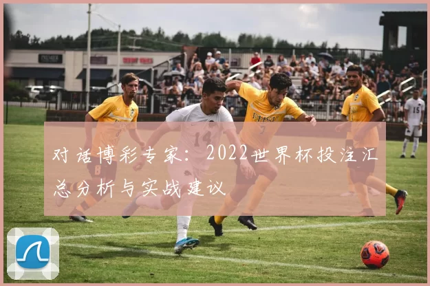 对话博彩专家：2022世界杯投注汇总分析与实战建议