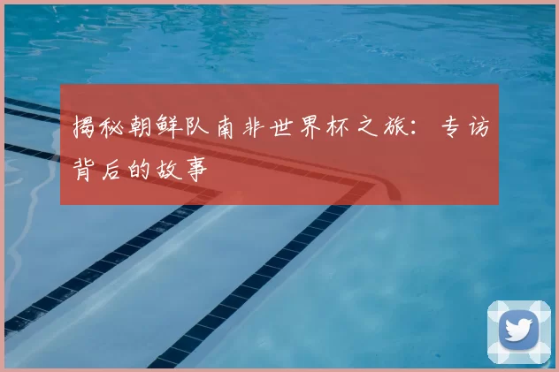 揭秘朝鲜队南非世界杯之旅：专访背后的故事
