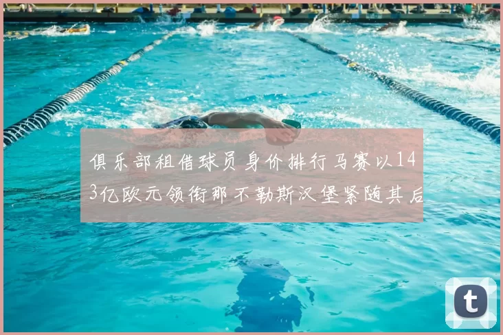 俱乐部租借球员身价排行马赛以143亿欧元领衔那不勒斯汉堡紧随其后