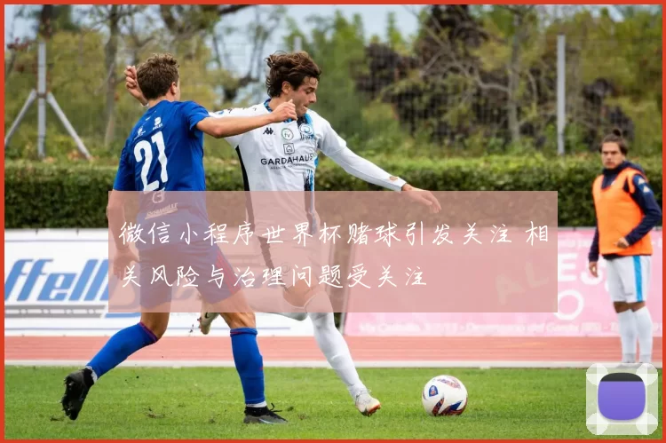 微信小程序世界杯赌球引发关注 相关风险与治理问题受关注