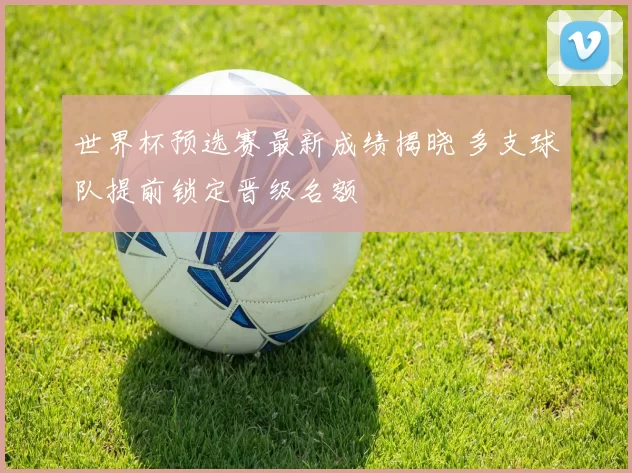 世界杯预选赛最新成绩揭晓 多支球队提前锁定晋级名额