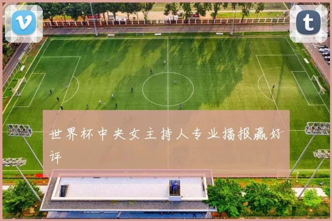 世界杯中央女主持人专业播报赢好评
