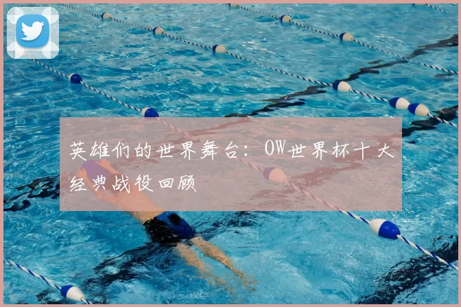英雄们的世界舞台:OW世界杯十大经典战役回顾