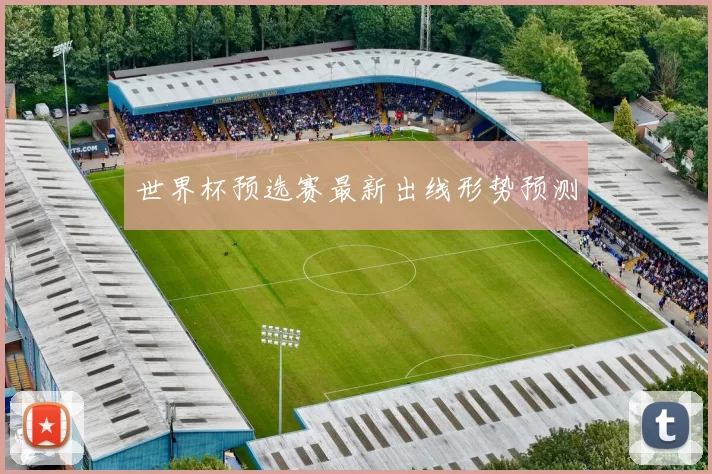 世界杯预选赛最新出线形势预测