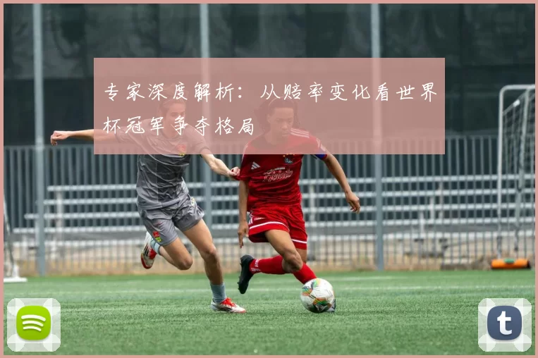 专家深度解析：从赔率变化看世界杯冠军争夺格局