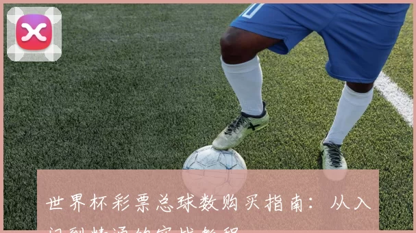 世界杯彩票总球数购买指南：从入门到精通的实战教程
