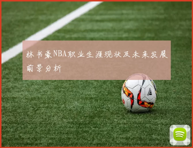 林书豪NBA职业生涯现状及未来发展前景分析