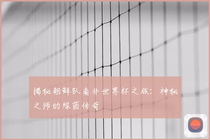揭秘朝鲜队南非世界杯之旅：神秘之师的绿茵传奇