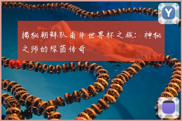 揭秘朝鲜队南非世界杯之旅:神秘之师的绿茵传奇