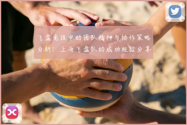 飞盘竞技中的团队精神与协作策略分析:上海飞盘队的成功经验分享